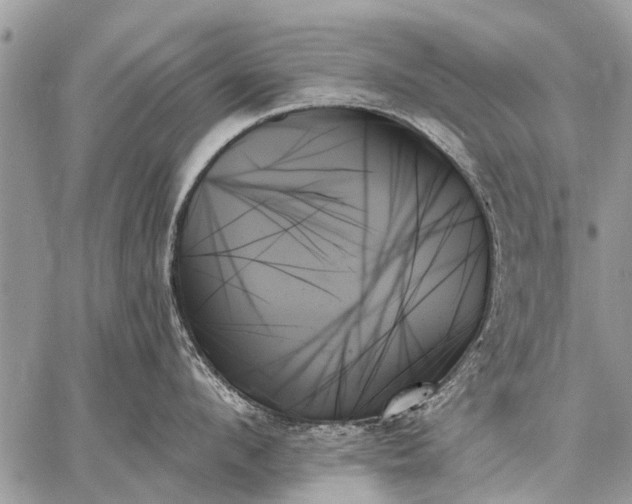 X0000059060912200510171936