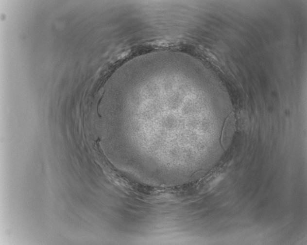 X0000059060913200510171935