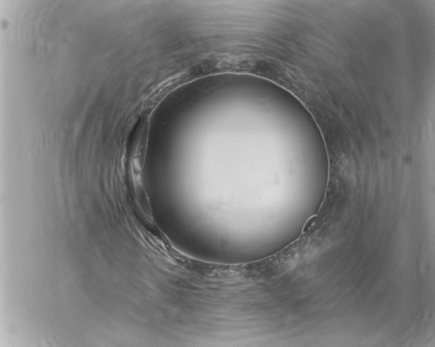 X0000059060914200510171935