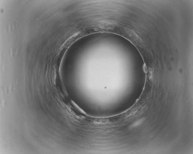 X0000059060915200510171935