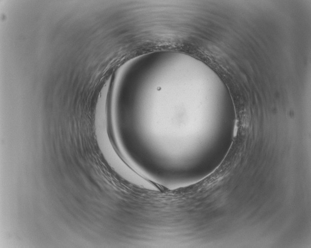 X0000059060916200510171935