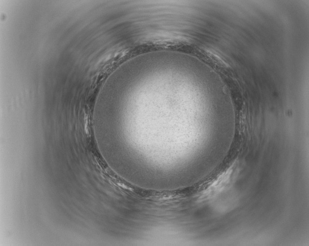 X0000059060917200510171935