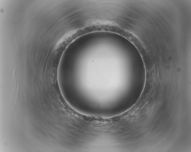 X0000059060919200510171935