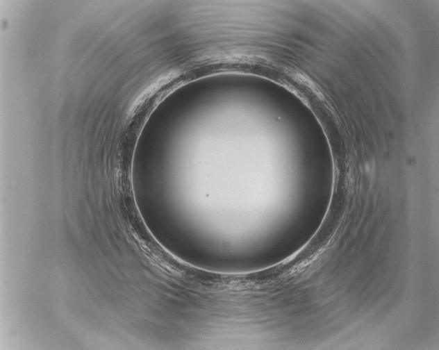 X0000059060922200510171935