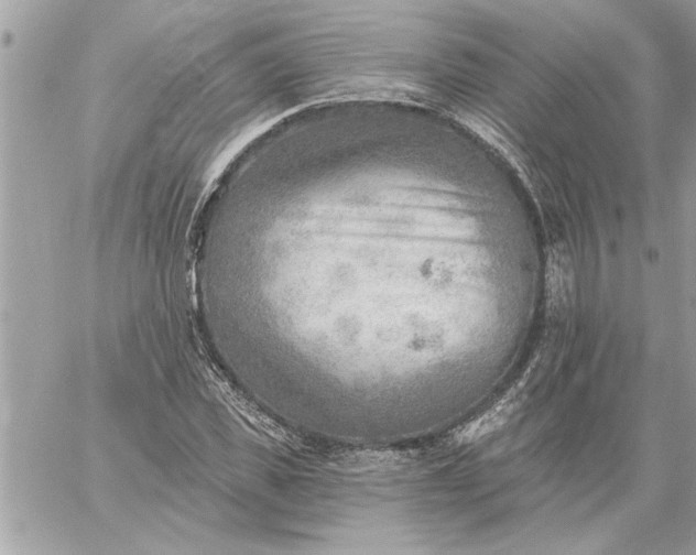 X0000059060925200510171935