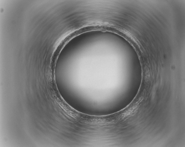 X0000059060927200510171936