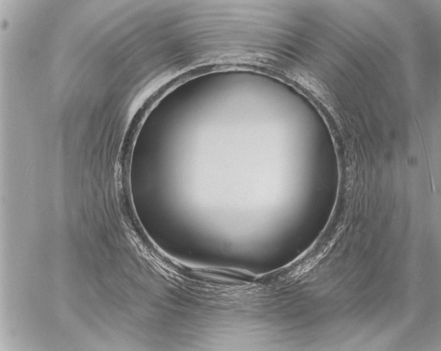 X0000059060928200510171936