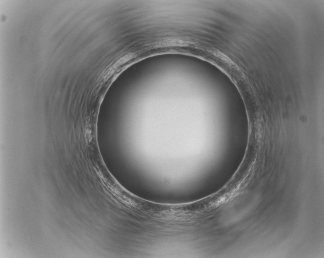 X0000059060929200510171936