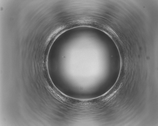 X0000059060930200510171936