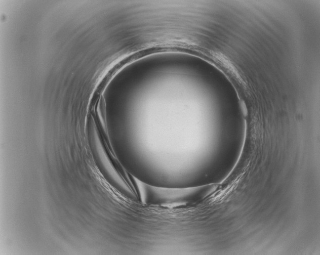 X0000059060932200510171936