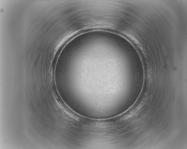 X0000059060933200510171936