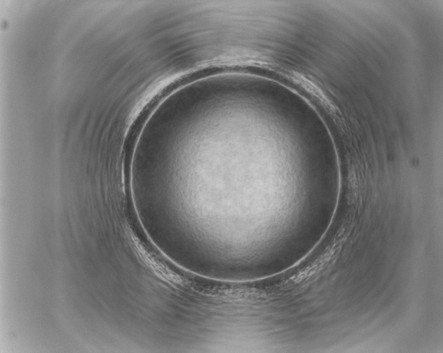 X0000059060934200510171936