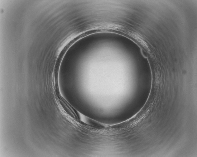 X0000059060936200510171936