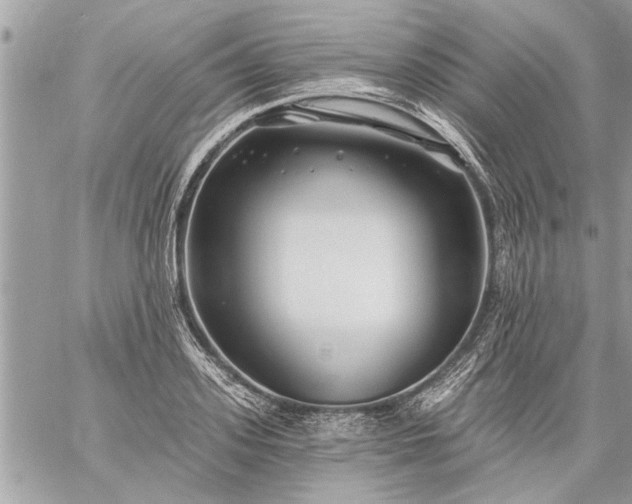 X0000059060939200510171936