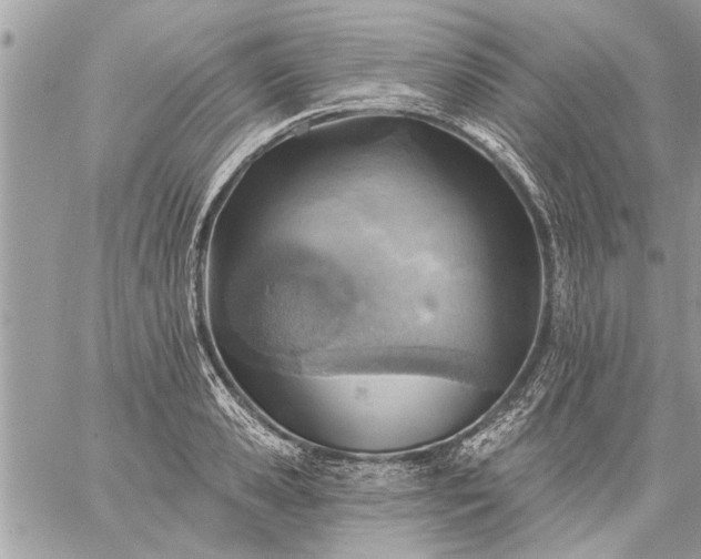 X0000059060941200510171936