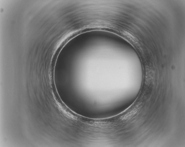 X0000059060942200510171936