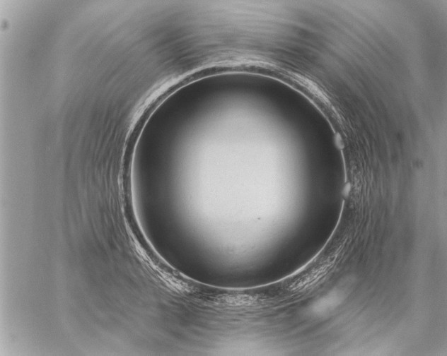 X0000059060943200510171936