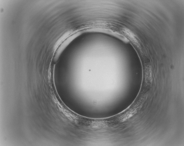 X0000059060944200510171936