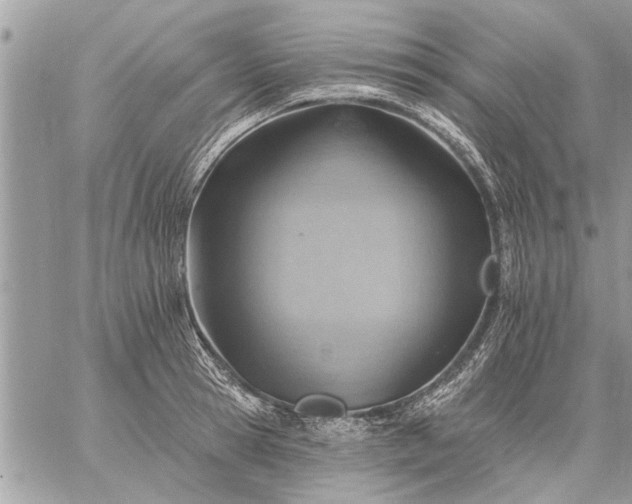 X0000059060945200510171936