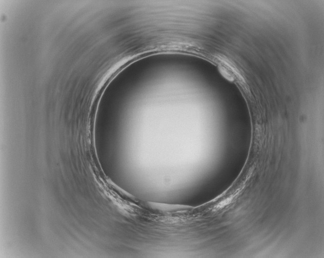 X0000059060948200510171936