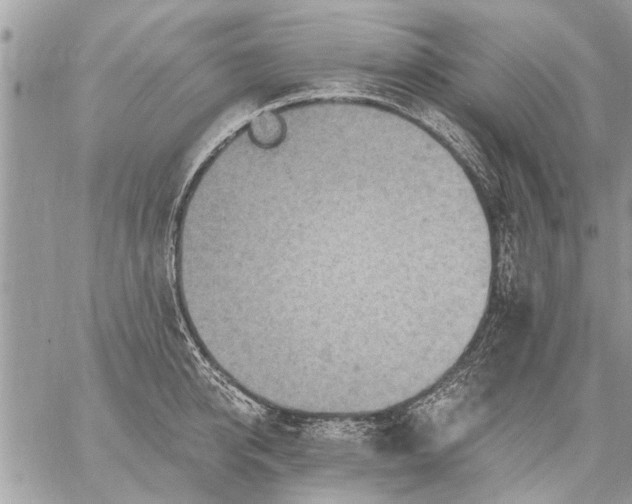 X0000059060950200510171936