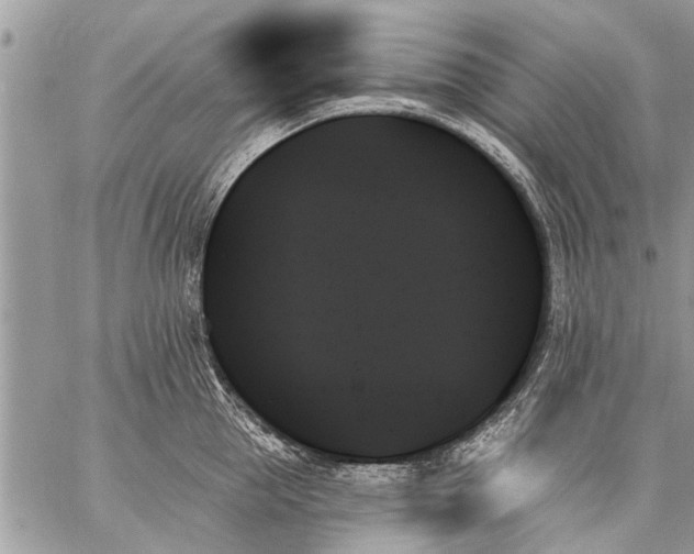 X0000059060953200510171936