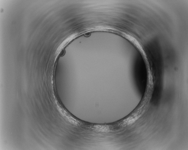 X0000059060954200510171936