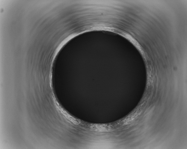 X0000059060955200510171936