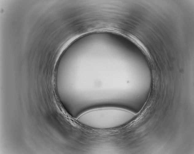 X0000059060956200510171936