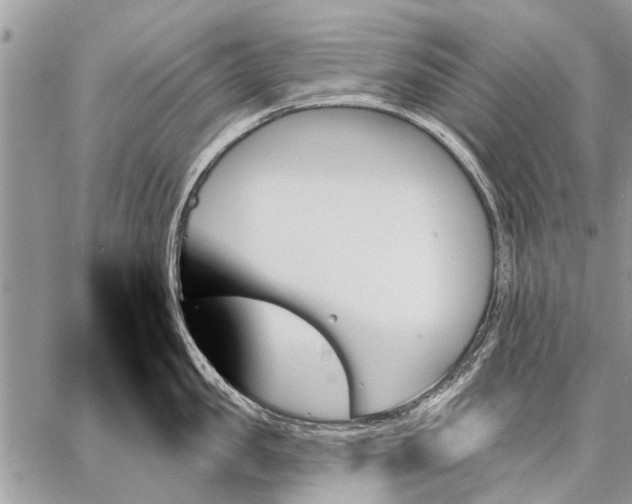 X0000059060957200510171936