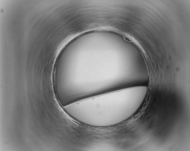 X0000059060959200510171936