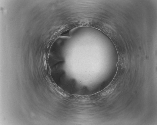 X0000059060962200510171935