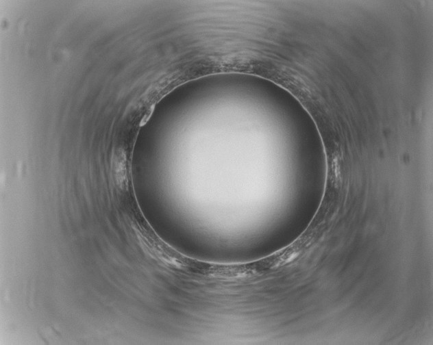 X0000059060963200510171935