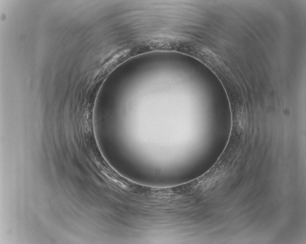 X0000059060964200510171935