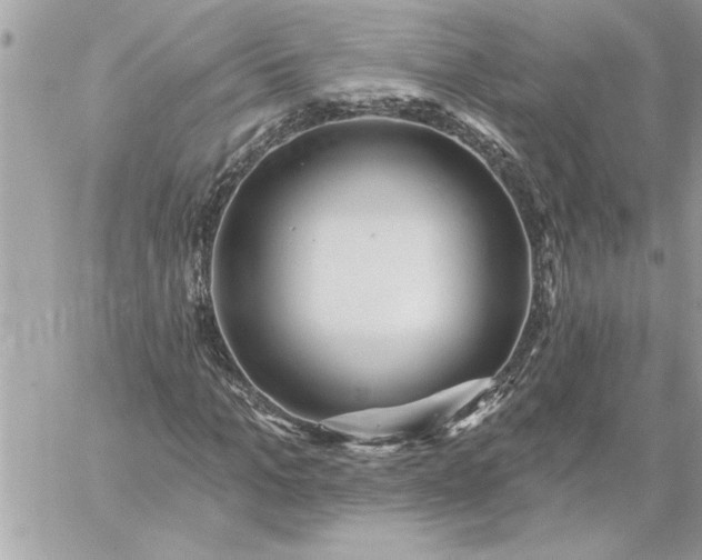 X0000059060965200510171935