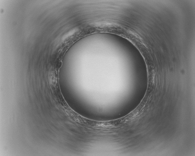 X0000059060966200510171935