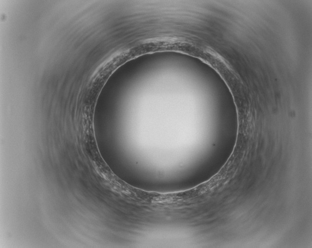 X0000059060967200510171935