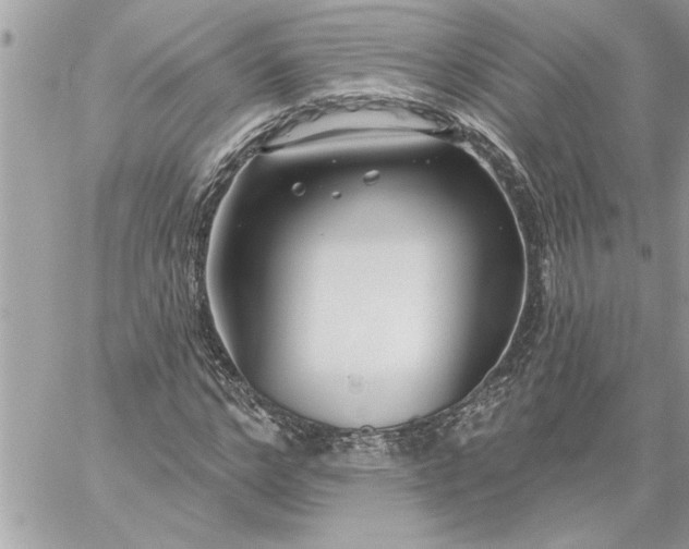 X0000059060968200510171935