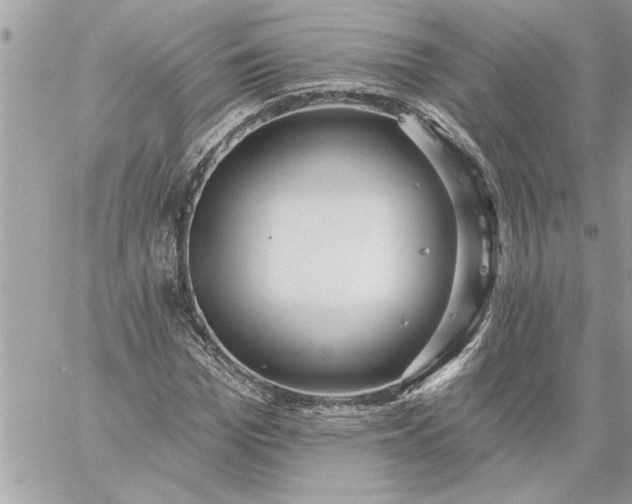 X0000059060969200510171935