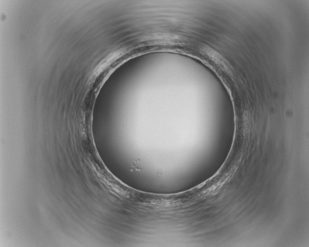 X0000059060970200510171935