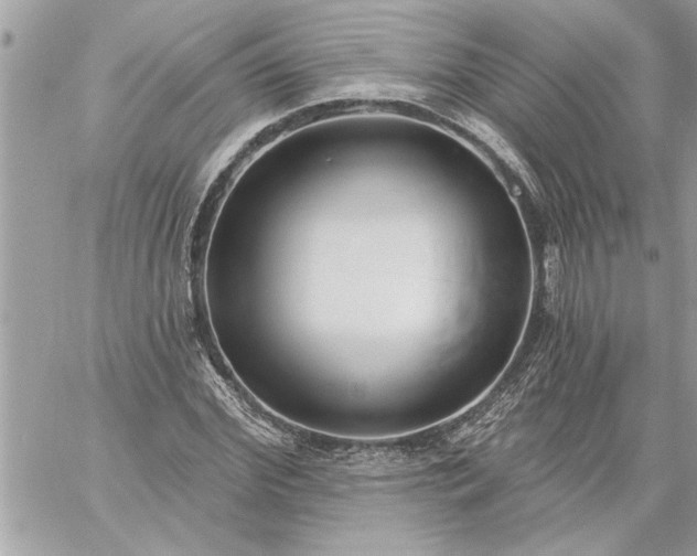 X0000059060972200510171935