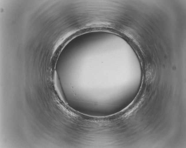 X0000059060973200510171935