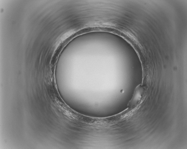 X0000059060974200510171935