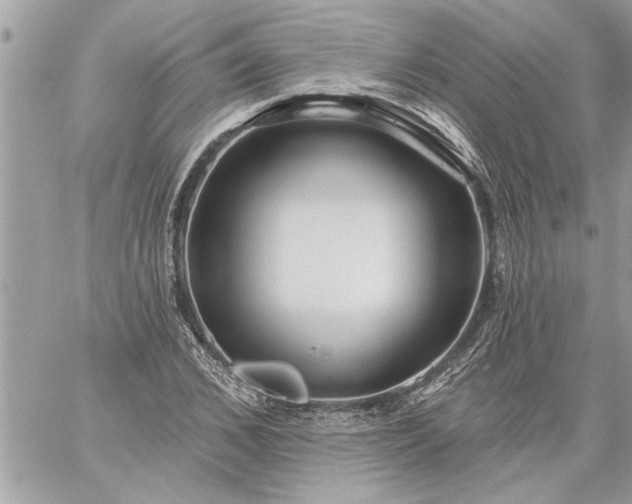 X0000059060976200510171935