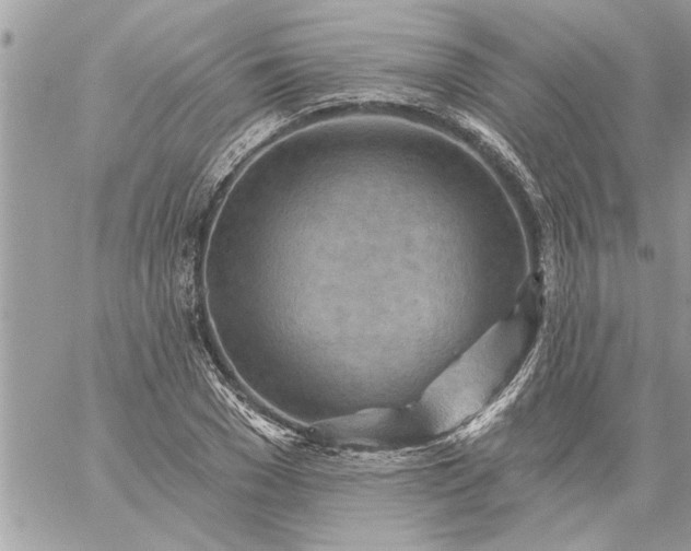 X0000059060977200510171935