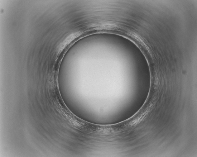 X0000059060978200510171935