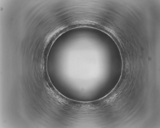 X0000059060979200510171935