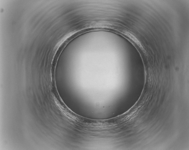 X0000059060980200510171935