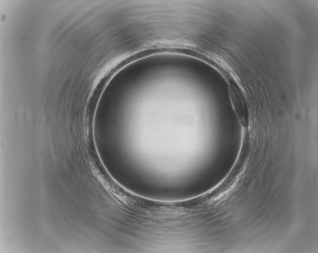 X0000059060981200510171935