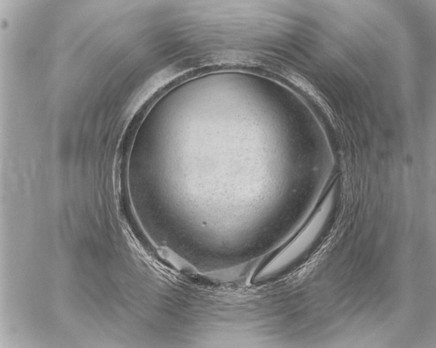 X0000059060983200510171935